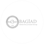 logo_0021_bagiad