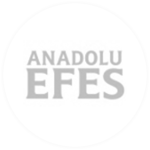 logo_0024_anadoluefes